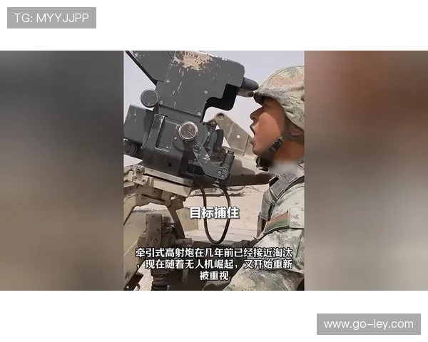 泰山进攻火力凶猛但防守漏洞，后半程伤病影响成绩